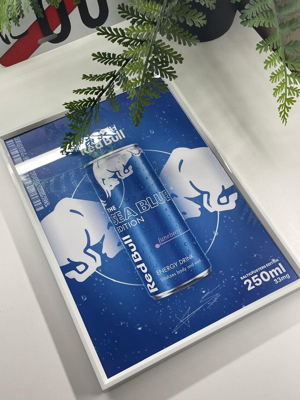 REDBULL PLAKĀTS, JUNEBERRY IZDEVUMS, A4